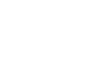 Stark Logotype